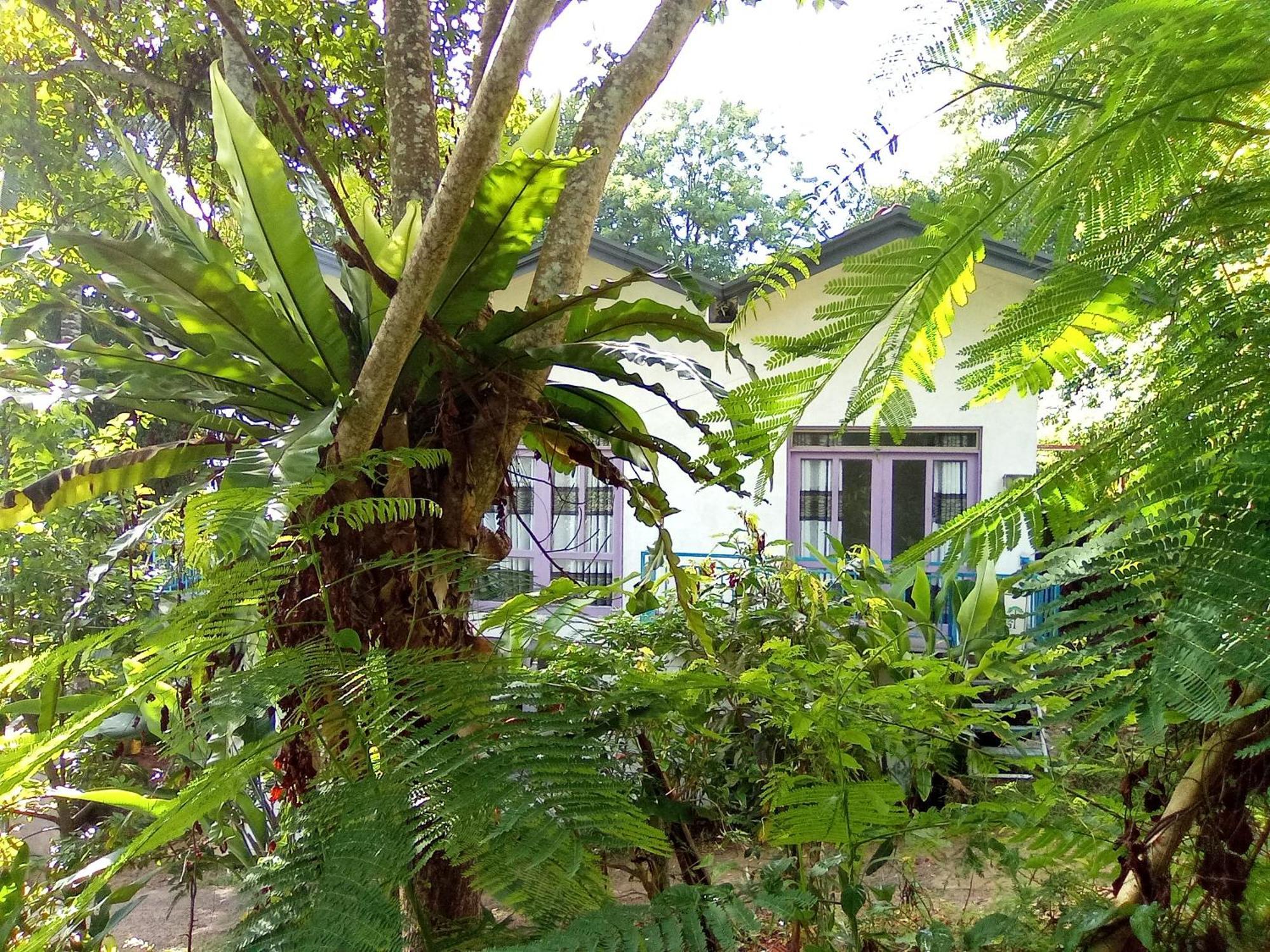 Hotel House 73 Unawatuna Exterior foto